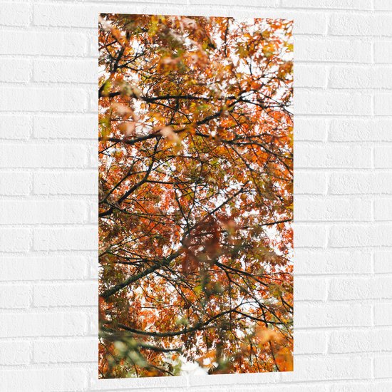 Muursticker - Herfst Bladeren in een Boom - 50x100 cm Foto op Muursticker