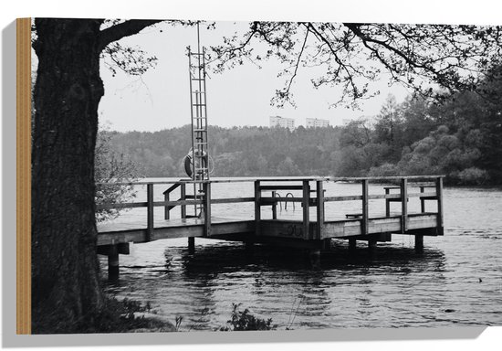 Hout - Vlonder boven het Water Zwart/Wit - 60x40 cm - 9 mm dik - Foto op Hout (Met Ophangsysteem)