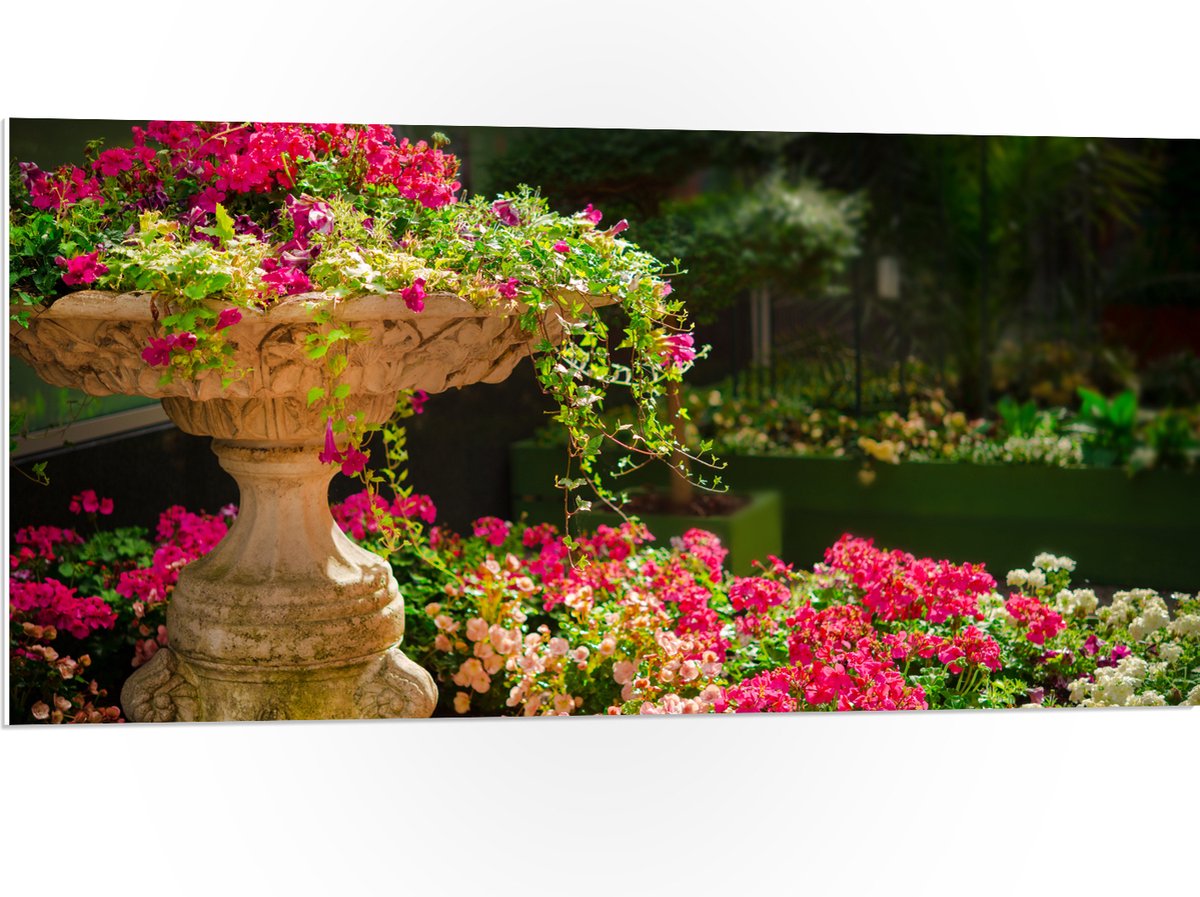 PVC Schuimplaat - Felroze Bloemen uit Fontein - 100x50 cm Foto op PVC Schuimplaat (Met Oph