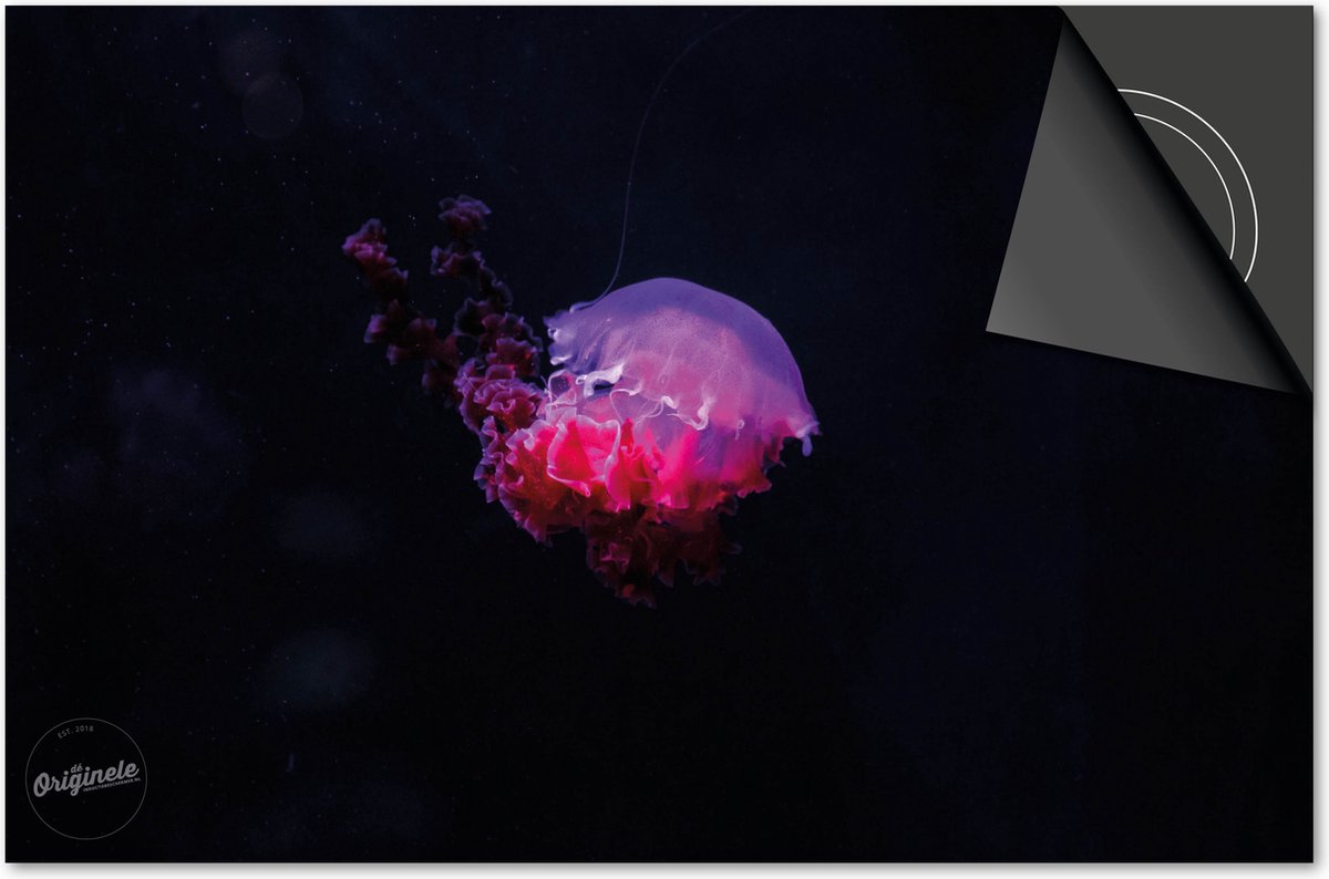 Inductie beschermer 83x51,5 - afdekplaat inductie mat - Dietrix Kookplaat beschermer - Exclusief - Under the Sea - Kwal Roze Rood