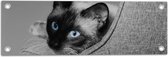 WallClassics - Tuinposter – Zwart Wit Foto van Siamese Kat - 60x20 cm Foto op Tuinposter  (wanddecoratie voor buiten en binnen)