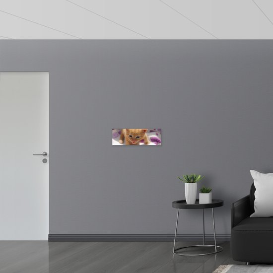 WallClassics - PVC Schuimplaat - Kleine Oranje Kitten - 60x20 cm Foto op PVC Schuimplaat (Met Ophangsysteem) - WallClassics