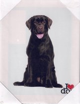 I love dog Canvas Labrador 19x25cm