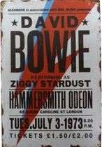 Metalen wandbord concertbord David Bowie Ziggy Stardust - 20 x 30 cm