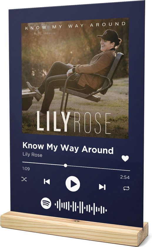 Songr Spotify Muziek Bordje Know My Way Around Lily Rose 20x30 Blauw Dibond