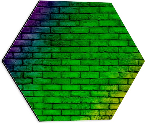 Dibond Hexagon - Muur in Regenboog Kleuren - 40x34.8 cm Foto op Hexagon (Met Ophangsysteem)