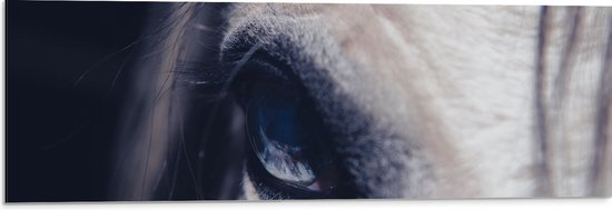 WallClassics - Dibond - Close up van Oog van Paard - 90x30 cm Foto op Aluminium (Met Ophangsysteem)