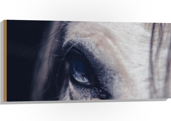 WallClassics - Hout - Close up van Oog van Paard - 100x50 cm - 9 mm dik - Foto op Hout (Met Ophangsysteem)