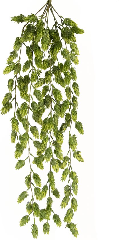 Greenmoods Kunstplanten - Kunstplanten - Kunst hangplant Hop - Zijde - 105 cm