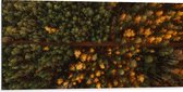 WallClassics - Dibond - Bovenaanzicht van Bos met Groene en Oranje Bomen - 100x50 cm Foto op Aluminium (Wanddecoratie van metaal)