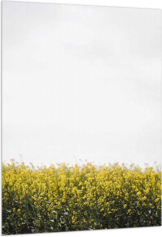 Vlag - Gele Bloementjes - 100x150 cm Foto op Polyester Vlag