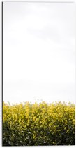 Dibond - Gele Bloementjes - 50x100 cm Foto op Aluminium (Met Ophangsysteem)