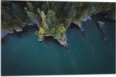 Vlag - Bossen en Zee vanaf boven - 75x50 cm Foto op Polyester Vlag
