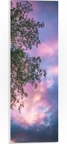 PVC Schuimplaat- Boom met Paars Blauwe Lucht - 20x60 cm Foto op PVC Schuimplaat