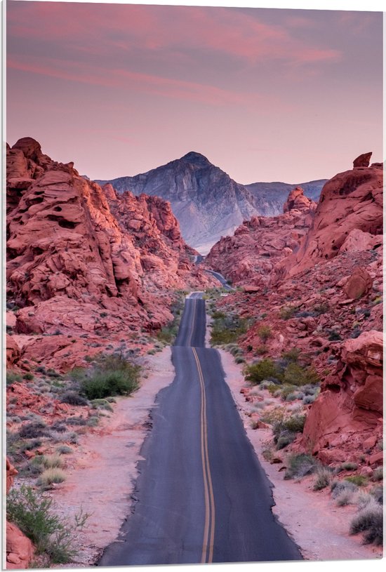 WallClassics - Acrylglas - Weg in Valley of Fire State Park in Nevada - 60x90 cm Foto op Acrylglas (Wanddecoratie op Acrylaat)