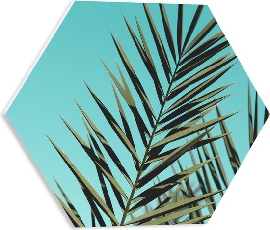 PVC Schuimplaat Hexagon - Bladeren van Tropische Plant - 40x34.8 cm Foto op Hexagon (Met Ophangsysteem)
