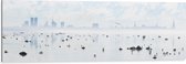 WallClassics - Dibond - Mist bij Skyline achter Meer met Vogels - 120x40 cm Foto op Aluminium (Wanddecoratie van metaal)