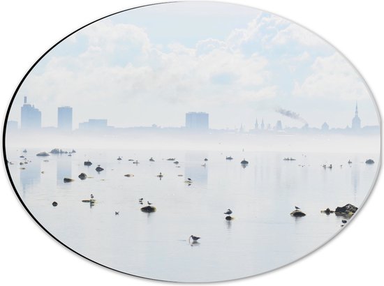 WallClassics - Dibond Ovaal - Mist bij Skyline achter Meer met Vogels - 40x30 cm Foto op Ovaal (Met Ophangsysteem)