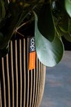 Donkergrijze Capi Europe bloempot met verticale groeven en een oranje label.