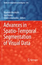 Advances in Spatio Temporal Segmentation of Visual Data