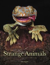Animals- Strange Animals