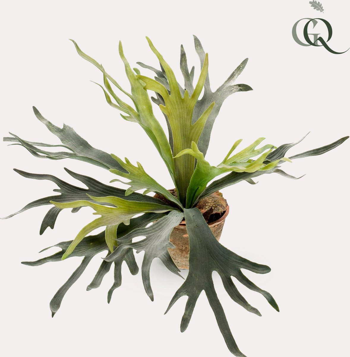 Kunstplant - Staghorn Fern - Hertshoorn - 50 cm