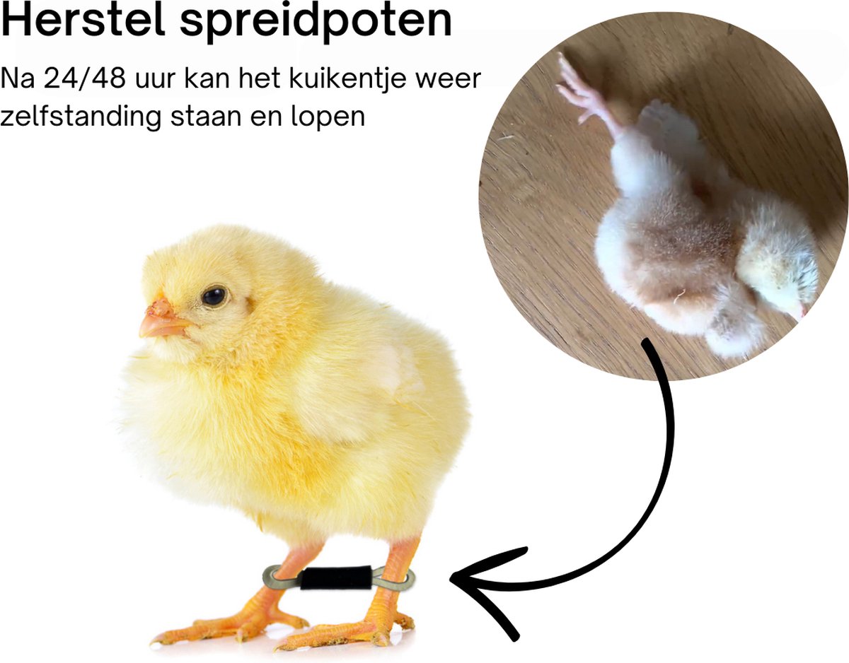 Spreidpoot beugels voor Kuikens (10 stuks) Ook geschikt voor duiven, kwartel,...