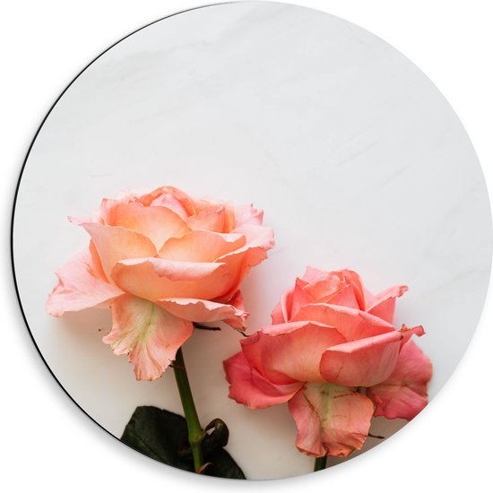 Dibond Muurcirkel - Duo Roze Bloemen op Witte Achtergrond - 50x50 cm Foto op Aluminium Muurcirkel (met ophangsysteem)
