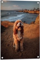 WallClassics - Tuinposter – Lachende Hond op Berg aan het Water - 50x75 cm Foto op Tuinposter (wanddecoratie voor buiten en binnen)
