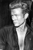 Poster / Papier - Filmsterren - Retro / Vintage - Elvis Presley in wit / grijs / zwart - 40 x 60 cm