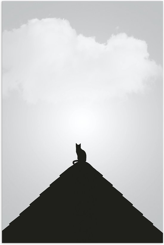 WallClassics - Poster Glanzend – Kat op Piramide - 40x60 cm Foto op Posterpapier met Glanzende Afwerking