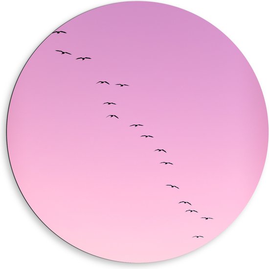 WallClassics - Dibond Muurcirkel - Grote Groep Vogels door roze Lucht - 80x80 cm Foto op Aluminium Muurcirkel (met ophangsysteem)