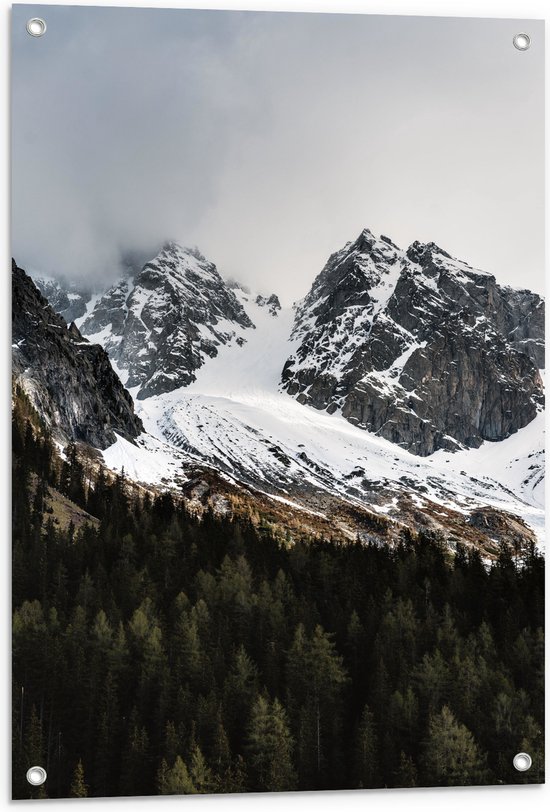 WallClassics - Tuinposter – Sneeuwbergen achter het Bos - 60x90 cm Foto op Tuinposter  (wanddecoratie voor buiten en binnen)
