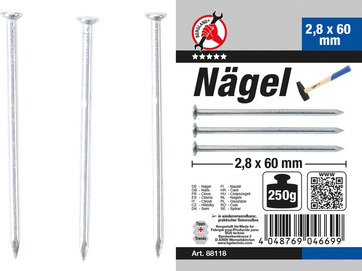 BGS Nagel-assortiment 250 gram 2,8 x 60 mm