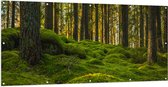 Tuinposter – Bomen in Bos bij Groen Begroeide Ondergrond - 200x100 cm Foto op Tuinposter (wanddecoratie voor buiten en binnen)