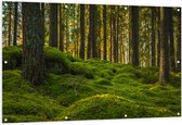 Tuinposter – Bomen in Bos bij Groen Begroeide Ondergrond - 150x100 cm Foto op Tuinposter (wanddecoratie voor buiten en binnen)