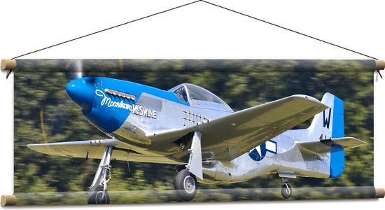 WallClassics - Textielposter - Blauw met Grijze Vliegtuig - 90x30 cm Foto op Textiel