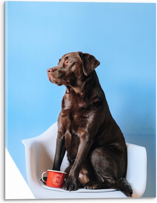 WallClassics - Acrylglas - Grote Hond Zittend op Stoel met Kop Koffie - 30x40 cm Foto op Acrylglas (Wanddecoratie op Acrylaat)