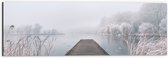 Dibond - Houten Vlonder in de Mist met Grassen - 60x20 cm Foto op Aluminium (Met Ophangsysteem)