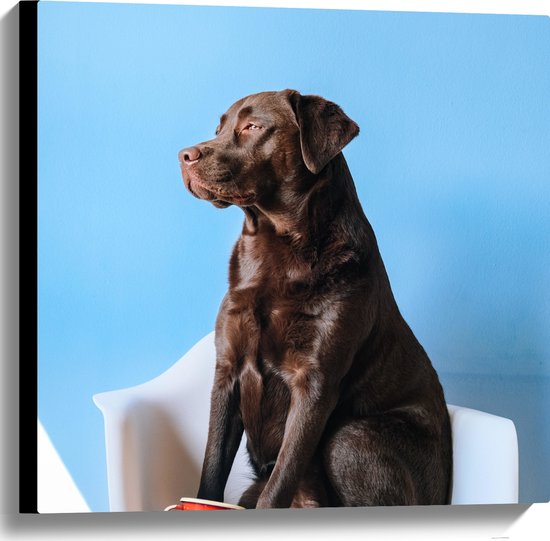 WallClassics - Canvas - Grote Hond Zittend op Stoel met Kop Koffie - 60x60 cm Foto op Canvas Schilderij (Wanddecoratie op Canvas)