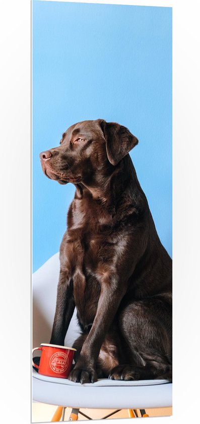 WallClassics - PVC Schuimplaat- Grote Hond Zittend op Stoel met Kop Koffie - 50x150 cm Foto op PVC Schuimplaat