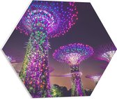 WallClassics - Plaque de Mousse PVC Hexagone - Parc Naturel de Nuit - Singapour - 50x43,5 cm Photo sur Hexagone (Avec Système d'accrochage)