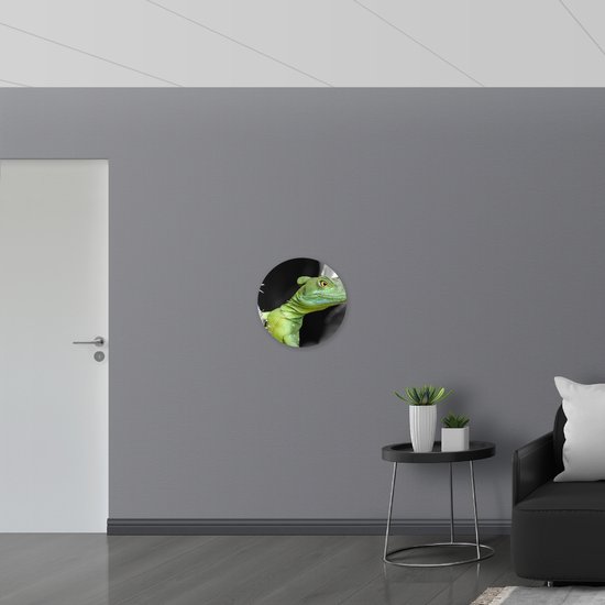 WallClassics - Panneau mural en mousse PVC - Basilic à couronne verte - Photo 50 x 50 cm sur cercle mural (avec système de suspension)