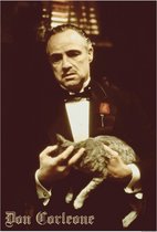 Le Godfather Affiche -M- Don Corleone Multicolore