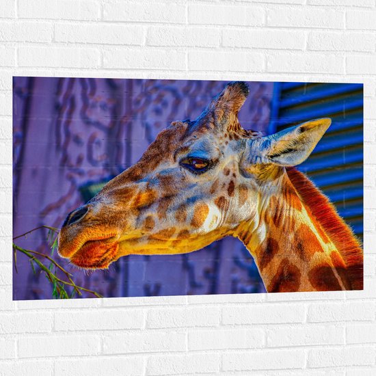 Muursticker - Zijaanzicht van Giraffekop - 105x70 cm Foto op Muursticker