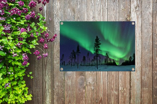 Northern Lights above Sweden Garden poster 60x40 cm - petit - Toile de jardin / Toile d'extérieur / Peintures d'extérieur (décoration de jardin)