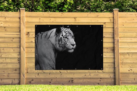 Tigre blanc de Sibérie sur fond noir affiche de jardin toile en vrac 180x120 cm - Toile de jardin / Toile d'extérieur / Peintures d'extérieur (décoration de jardin) XXL / Groot format!