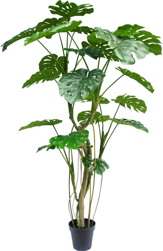 Greenmoods Kunstplanten - Kunstplanten - Kunstplant Monstera - Zijde - 210 cm