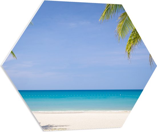 PVC Schuimplaat Hexagon - Palmbladeren op Tropisch Strand - 70x60.9 cm Foto op Hexagon (Met Ophangsysteem)