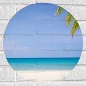 Muursticker Cirkel - Palmbladeren op Tropisch Strand - 40x40 cm Foto op Muursticker